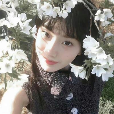 豪门杀人指南
